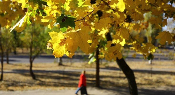 Погода восени, фото: Unian