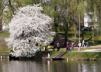 Парк, прогулка, украинцы, фото из соцсетей