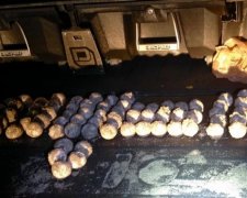 Мешканець Флориди вкрав 107 черепашачих яєць