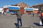 Чупакабра? Під Запоріжжям орудує нічний кровопивця