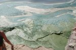 В Одесі зазеленіло море: пекельний сморід вигнав людей з води, навіть риби "пакують валізи"