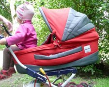 Чергова горе-мати шокувала бездушністю