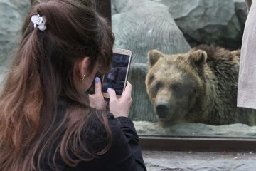 Київський зоопарк