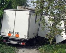 Житель дунаевец угнал грузовик, тут же влетел в забор и пошел спать