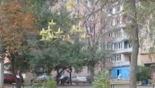 В Харькове зацвели каштаны, забыв об осени