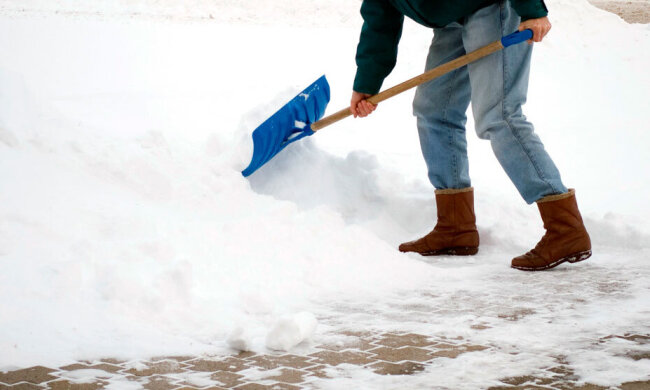 Тротуарная плитка: фото из свободных источников