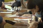 Місцеві вибори, скріншот відео