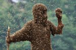 Рятувальники ліквідували осиний вулик в дитсадку