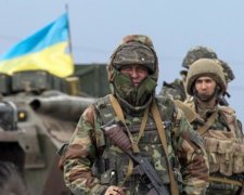 Квартира в Киеве: декларация волонтера показала, как хорошо у корыта
