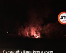 В Киеве вспыхнул цыганский табор