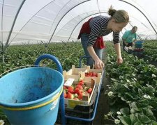 Смертельні заробітки у Польщі: напівмертву українку викинули на вулицю