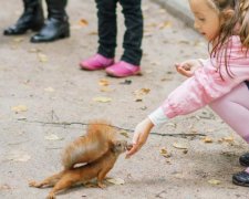 Зустрічай шалену п'ятницю зі Знай.ua: кращі коментарі читачів у Facebook