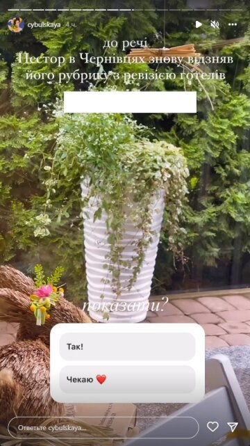 Оля Цибульская, скриншот: Instagram Stories