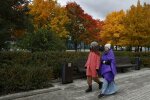Погода в Украине, фото с pxhere