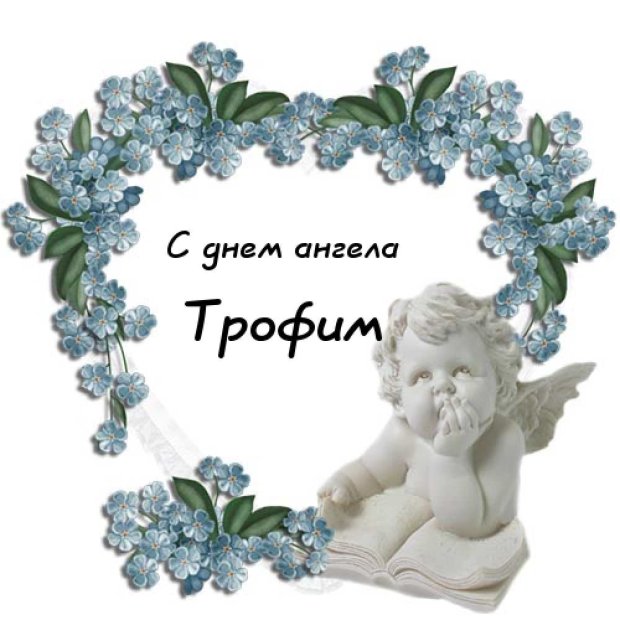 с днем рождения трофимка. Смотреть фото с днем рождения трофимка. Смотреть картинку с днем рождения трофимка. Картинка про с днем рождения трофимка. Фото с днем рождения трофимка