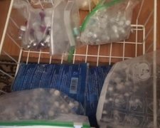 СБУ зупинила підпільне виробництво одеських ліків