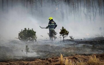 Масштабна лісова пожежа у Вишгородському районі