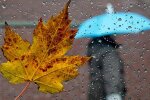 Осень, фото из открытых источников