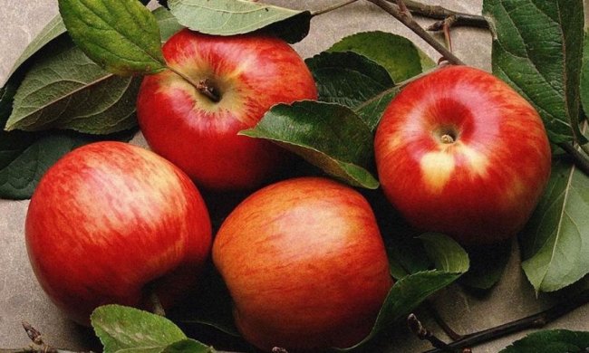 Курс на осень: 5 продуктов против хандры