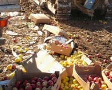 Росіяни розчавили 57 тонн білоруських яблук і ківі