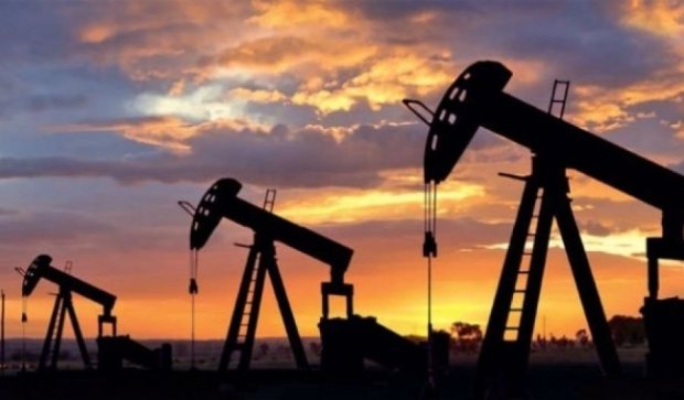 Нефть установила новый рекорд - $ 31,7 за баррель