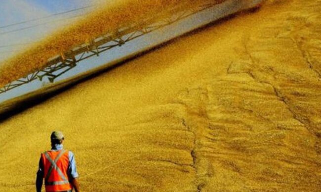 Україна нарощує експорт аграрної продукції в Китай (інфографіка)