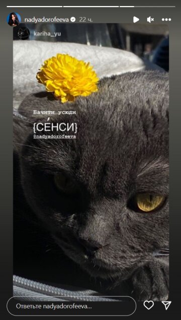 Stories Нади Дорофеевой, скриншот: Instagram