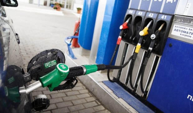 Яценюк поручил проанализировать высокие цены на топливо на АЗС