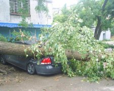 В мережі показали наслідки моторошного урагану на Луганщині