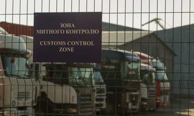 ″Потрібно селекціонувати і ростити″, - Холодов прокоментував ″велику чистку″ на митниці