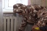 Опалювальний сезон. Фото: скрін youtube