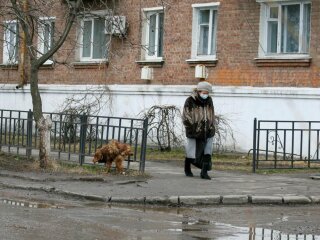 Карантин, фото: Unian