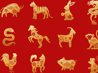 Восточный (китайский) гороскоп, изображение из свободных источников