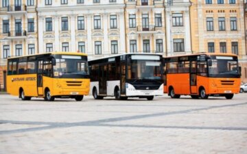 Автобуси, фото: вільне джерело