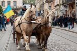У Львові одурілі коні знесли лавку з людьми, дитина в реанімації: містяни поставили Садовому жорсткий ультиматум