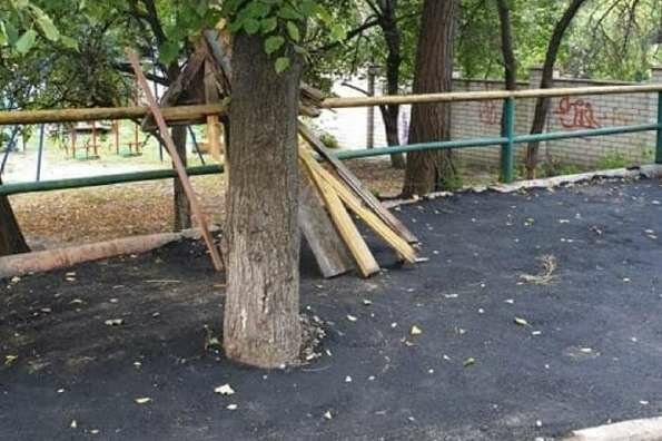 Киевские коммунальщики "забетонировали" дерево