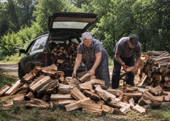 Дрова для опалення: ціни та де купити