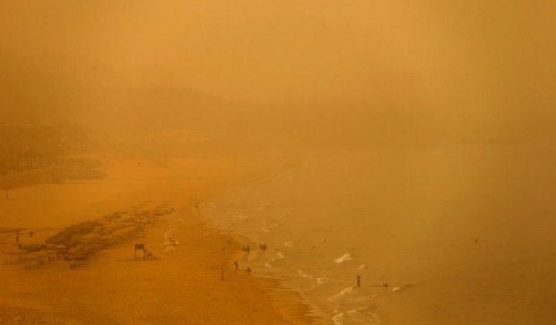 Ближний Восток накрыла песчаная буря (фото)