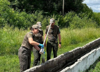 Госэкоинспекция