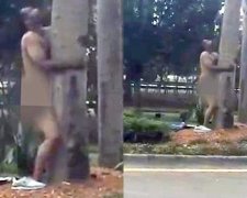 Чоловік зайнявся сексом з деревом