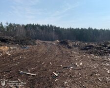 засмічення земель у Радомишльській громаді