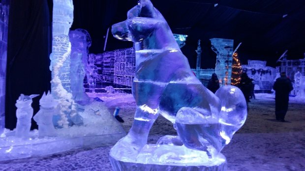 Детский ледовый городок построили из отходов: подробности фекального скандала и фото