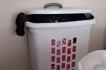 котик, скриншот с видео