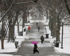 Українські дороги перетворилися на снігову пастку, водіїв благають сидіти вдома