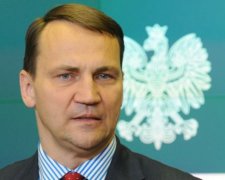 Сікорський порадив Києву прискорити реформи