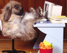 Гумор без ГМО! Коментарі читачів Знай.ua переплюнули Comedy Club