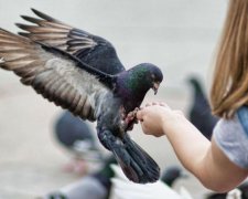 Єфимів день 24 березня: що потрібно зробити у свято