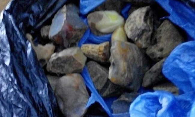 Пограничники Волыни обнаружили у мужчины пять килограммов янтаря (фото, видео)