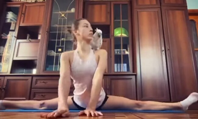 Єлизавета Яхо, Facebook