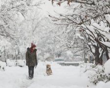 Сніговий апокаліпсис мчить до України: синоптики назвали дату